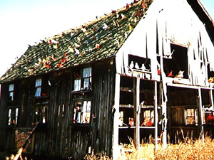 Castellane Gallery Barn w/ Birds