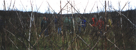 Rag Weed Labyrinth by Jim Buchanan