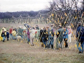 Visitors picking up leaves