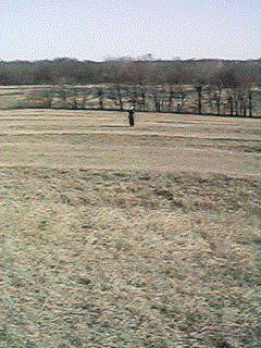 Jane at the site