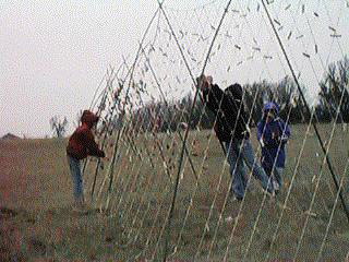 students adding leaves