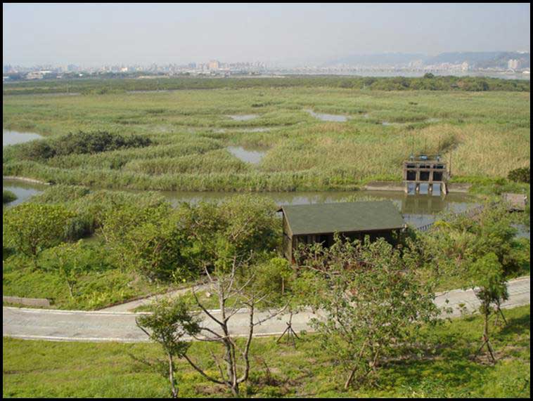 Crab area from main building