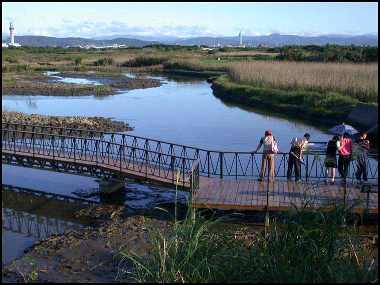 bridge over crab viewing area