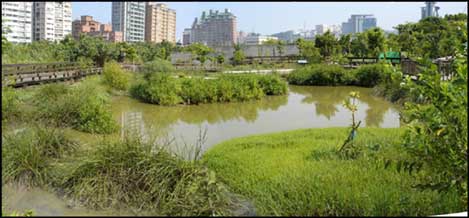 pond at the entrance