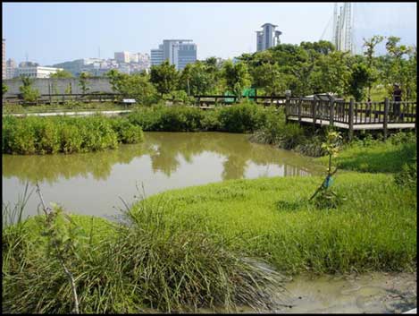 pond at the entrance