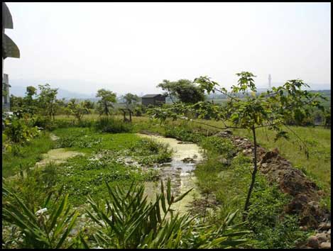 pond at the entrance