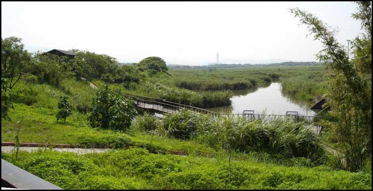 walkway over stream