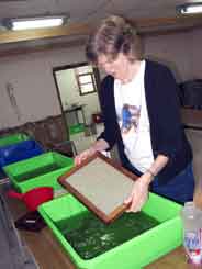 Jane ready to make paper