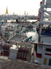 small part of the fishing fleet