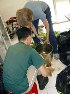 cutting up plants