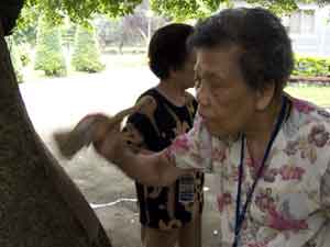 Lady brushing paper on tree