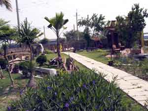 Peter's garden
