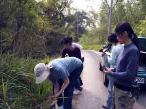 Picking plants