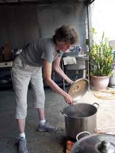 checking on the cooking of the plants