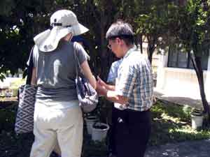 picking plants