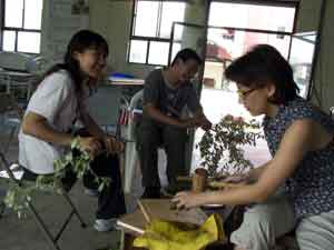 volunteers beating bark