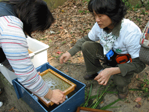 Qiyan volunteers making paper