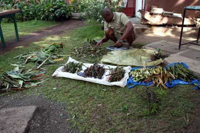 Samwell sorting plants