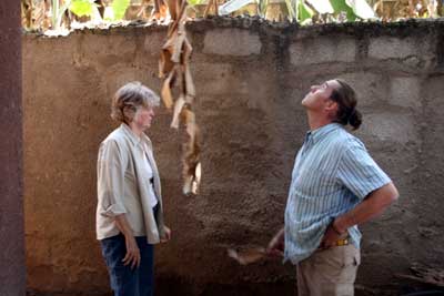 Jane and Seppo looking at the banana tree