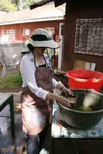 making green paper from mullberry