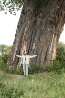 Jane standing in front of the baobob tree