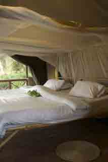 bed at tented lodge
